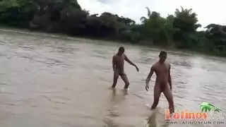 شواذ ولاد فشخ طيور بعض شواذ ولاد