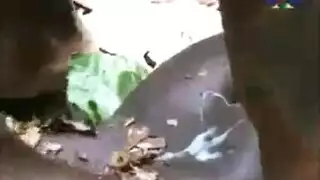 افريقي افريقيا