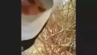 محجبة مصريه بتمص زب خطيبها